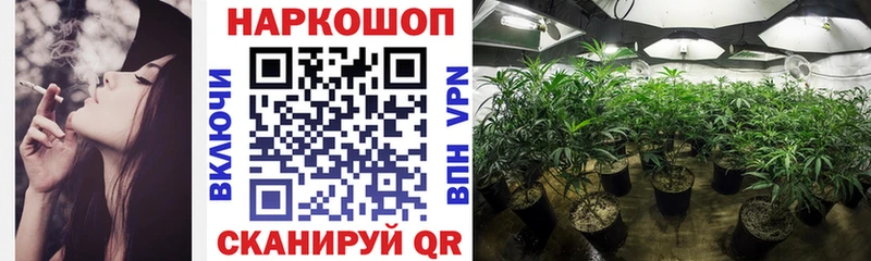 Магазины продажи наркотиков Нальчик Псилоцибиновые грибы  APVP  Мефедрон  omg вход  ГАШ 