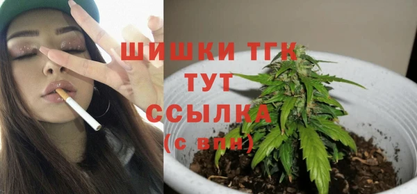 ПСИЛОЦИБИНОВЫЕ ГРИБЫ Абаза