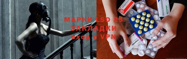ПСИЛОЦИБИНОВЫЕ ГРИБЫ Абаза