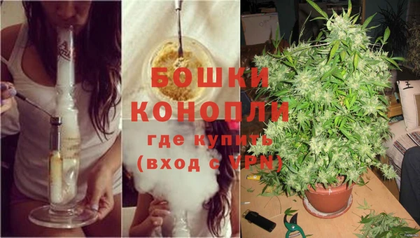 ПСИЛОЦИБИНОВЫЕ ГРИБЫ Абаза