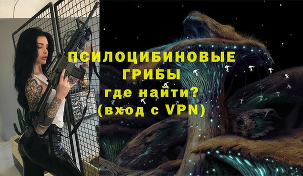 ПСИЛОЦИБИНОВЫЕ ГРИБЫ Абаза