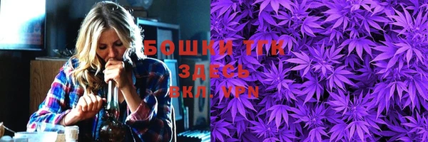 ПСИЛОЦИБИНОВЫЕ ГРИБЫ Абаза