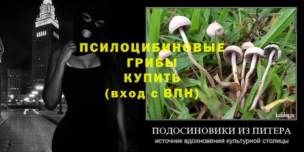 ПСИЛОЦИБИНОВЫЕ ГРИБЫ Абаза
