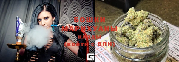 ПСИЛОЦИБИНОВЫЕ ГРИБЫ Абаза