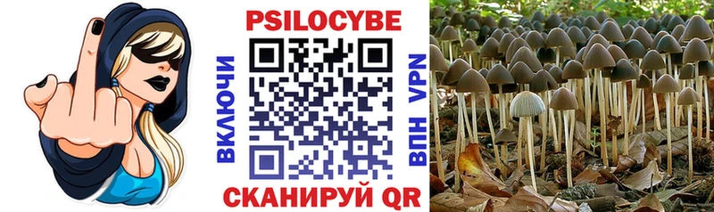 Псилоцибиновые грибы Magic Shrooms  маркетплейс официальный сайт  Нальчик 