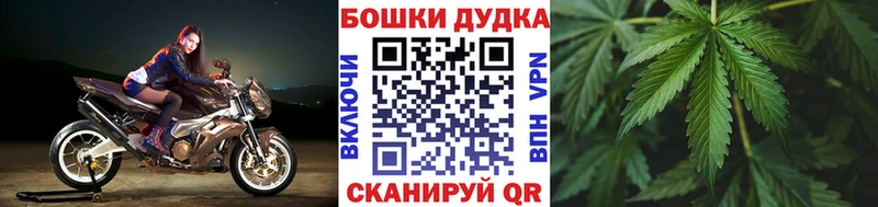 Конопля ГИДРОПОН  Нальчик 